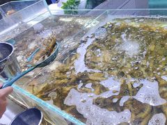 -聚盛源蒸汽海鲜火锅烤肉自助(巨川金海岸购物广场店)