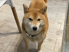 -小时光咖啡馆(北锣鼓巷店)