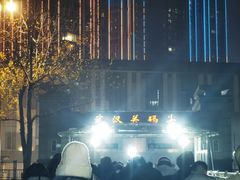 -武汉关码头(轮渡站)