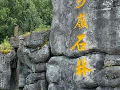-汤旺河林海奇石景区