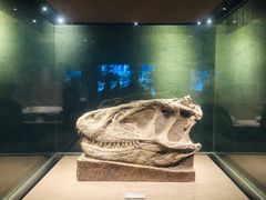 -自贡恐龙博物馆