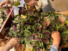 -老字号怡玺·藿香雅鱼(20年雅安店)