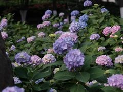 -常州古运河南大街文化旅游区-人民公园