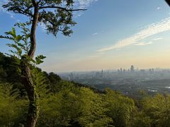 -紫金山山顶公园