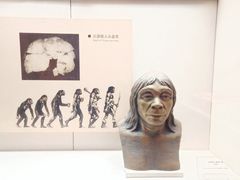 -临沂市博物馆