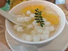 多芒丸子海石花-古春堂凉茶甜品(拱北口岸店)