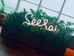 -Seesaw Coffee(朝阳大悦城店)