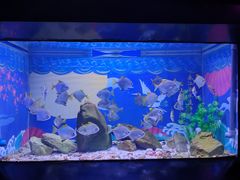 -烟台海昌鲸鲨海洋公园