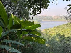 -水濂山森林公园