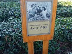 -中国茶叶博物馆(双峰馆区)