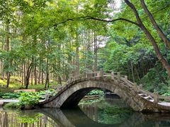 -洛阳白云山景区