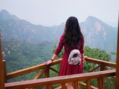 景点-大岭沟猕猴桃谷风景区