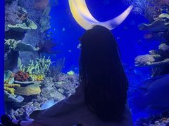 -欢乐海岸海洋奇梦馆