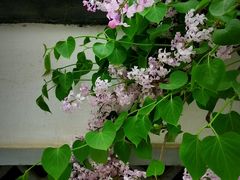 -团结湖公园