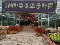 -河北村民俗体验园