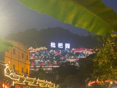 -枇杷园食为鲜火锅(南山店)