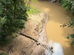 -野象谷景区