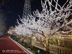 -马栏河运动公园