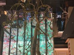 -桂满陇·海市蜃楼·黑金(国金店)