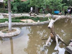 -紫荆关长城漂流