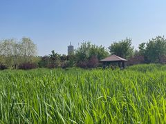 -永定河休闲森林公园