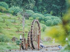 -广州市石门国家森林公园