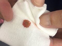 -爱侣宠医·鹦鹉专科·小型哺乳类·异宠专科(灵石路店)