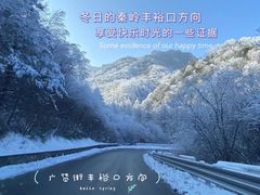 -秦岭风景区