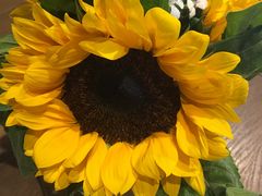 -臻味私厨(国际社区店)