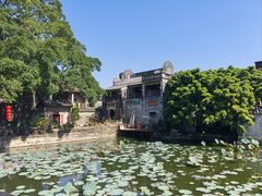 -烟桥私房菜馆(奋哥)