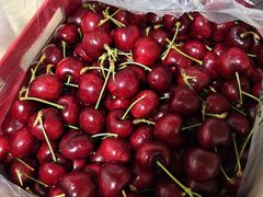 -Takapuna Beach Cafe