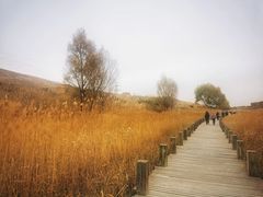 -水洞沟旅游区