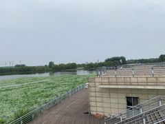 -大兴滨河森林公园