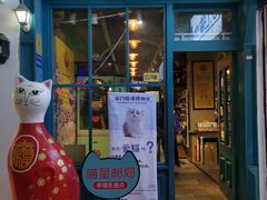 -猫咪博物馆(顶澳仔猫街店)