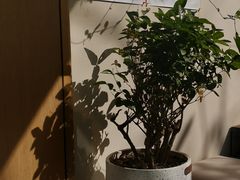 -稀物集咖啡(徽州大道店)