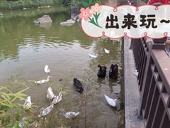 -厦门悦华酒店·绿庭主题自助餐厅