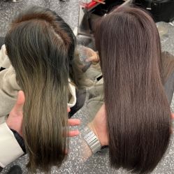 -IP SALON