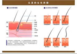 -Bollins波林丝•专研护发中心