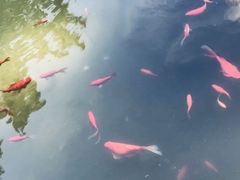 -林海公园