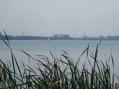 -漕湖湿地公园