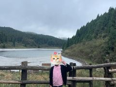 -武陵山森林公园