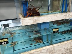 -莆鑫海鲜城(浏河店)