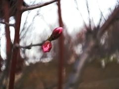 -天津东丽湖风景区