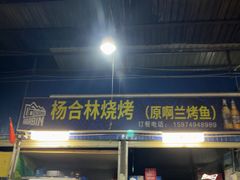 -杨合林啊兰烤鱼