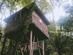 -天门沟九州驿站树上汤泉