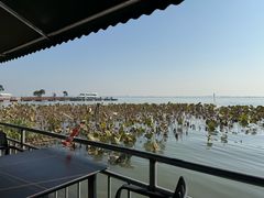 -渔娘蟹庄(阳澄湖莲花岛店)