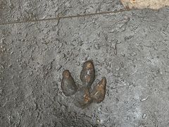 -广州长隆野生动物世界