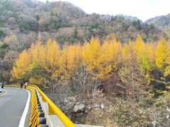 -秦岭风景区