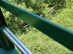 -野象谷景区