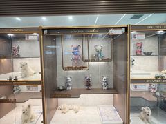 -翊宠yipet猫狗购宠庄园犬舍•猫舍